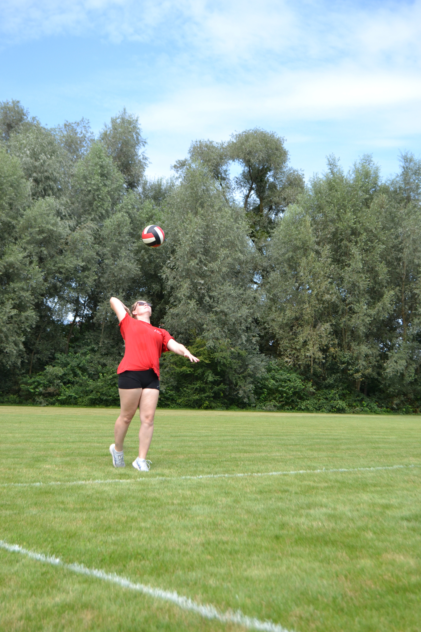 Bild (146)